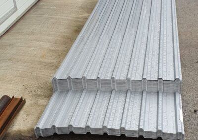 profilisani al limovi